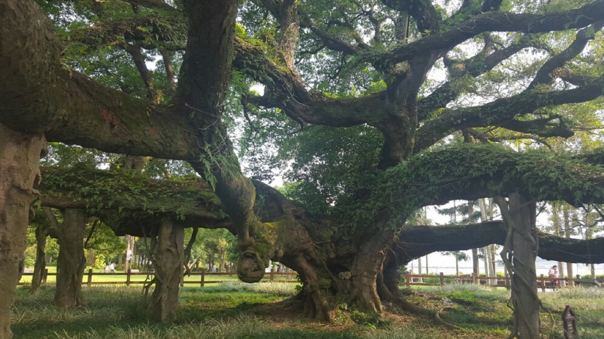 微信截图_20240826170126.png 微信截图_20240826170126.png