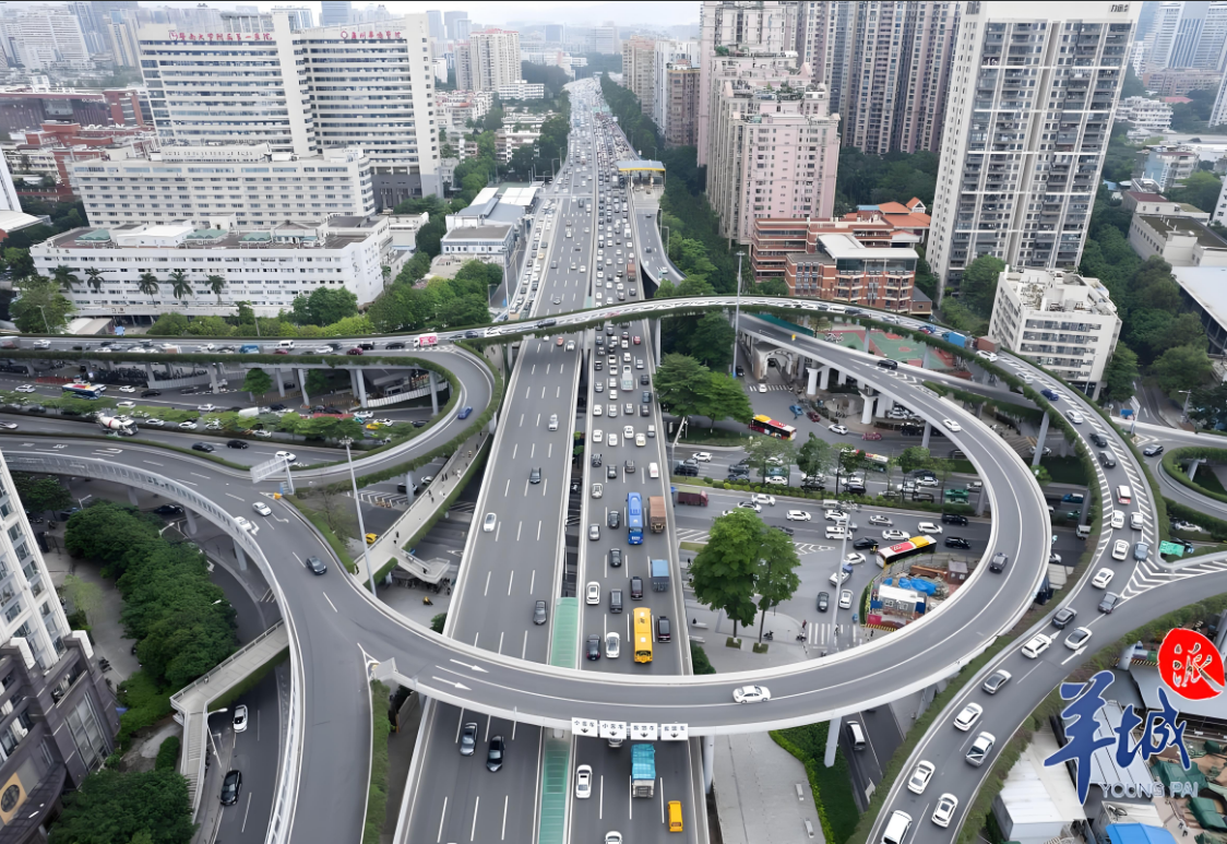 1738820128193.jpg 1738820128193.jpg